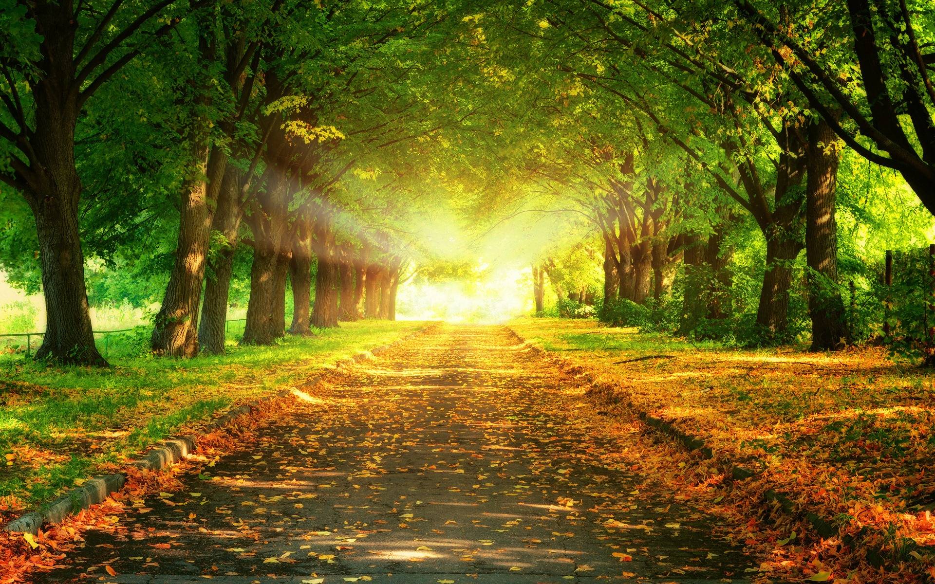 megan-26gX5vLxrdk-unsplash 2 Natures GardenLegacy